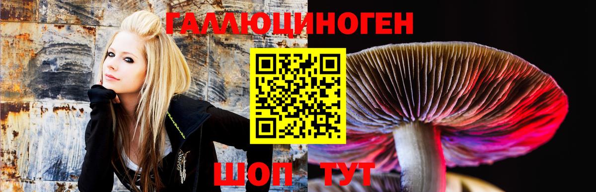 Камышин  Галлюциногенные грибы мухоморы  Вход с VPN  Псилоцибиновые грибы прущие грибы 